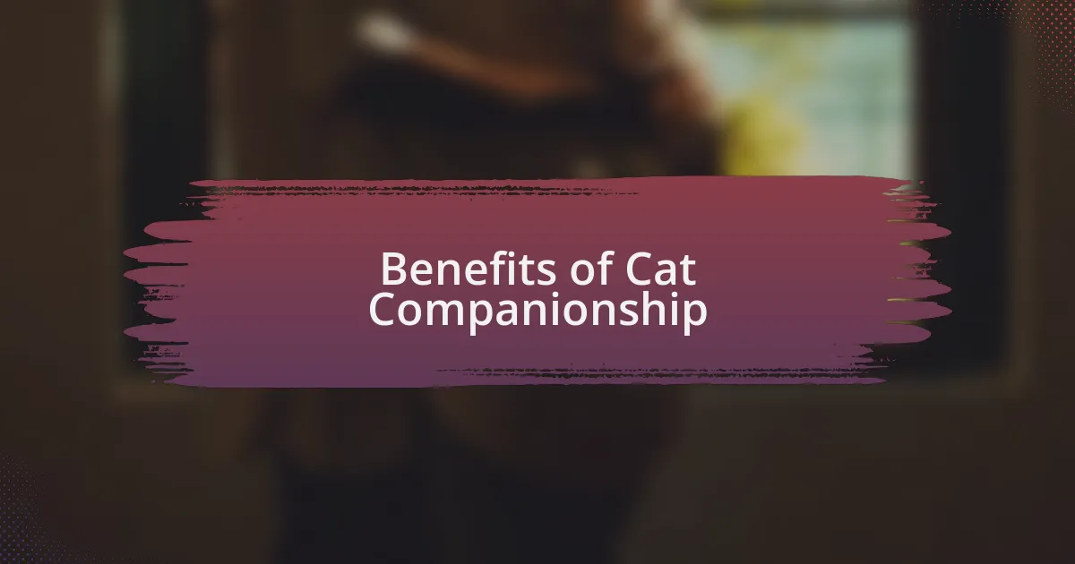 Benefits of Cat Companionship