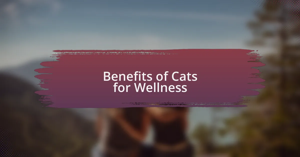 Benefits of Cats for Wellness