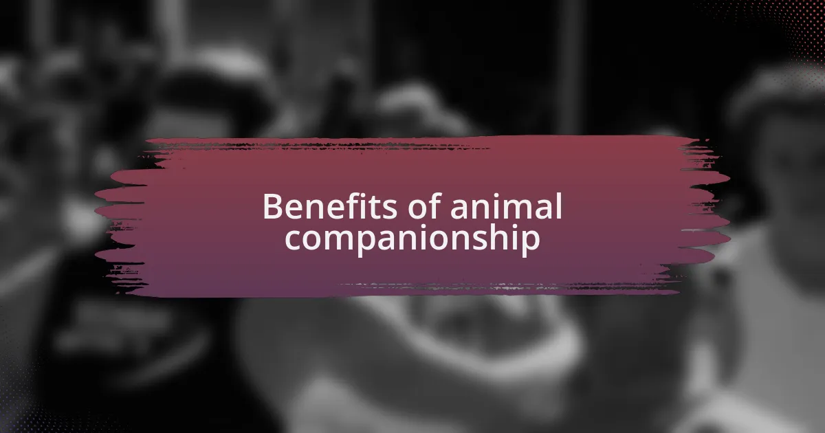 Benefits of animal companionship