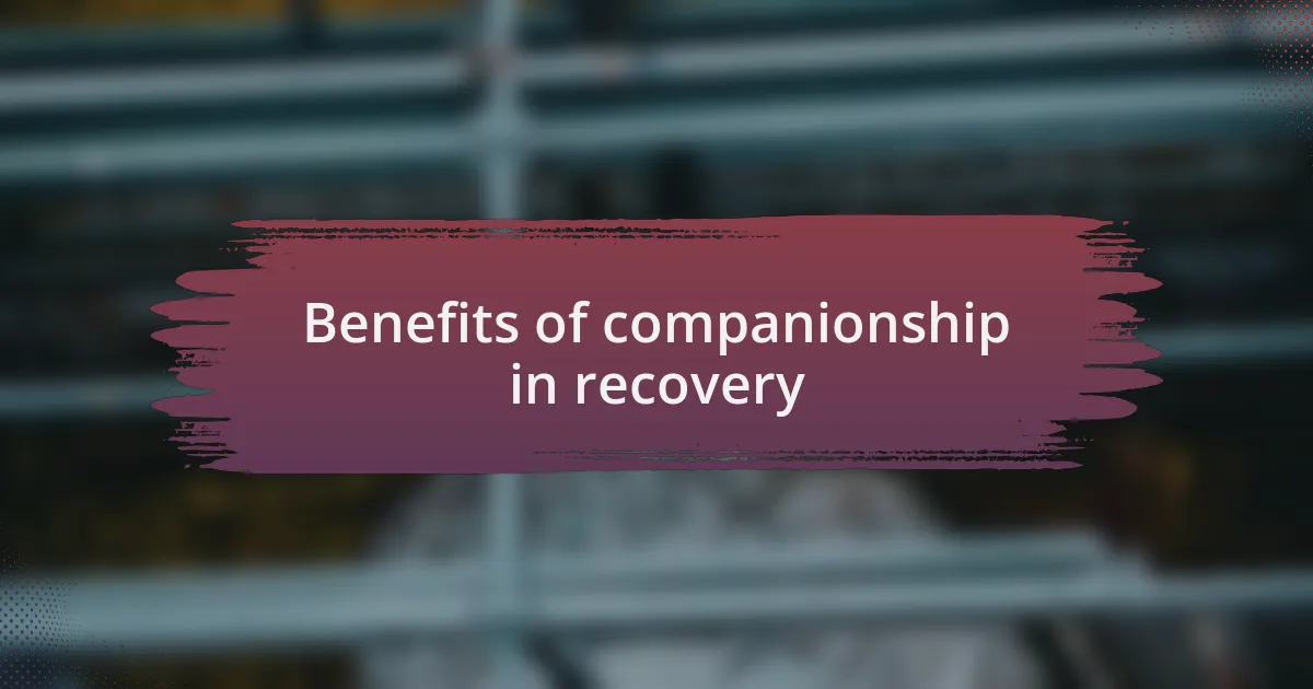 Benefits of companionship in recovery