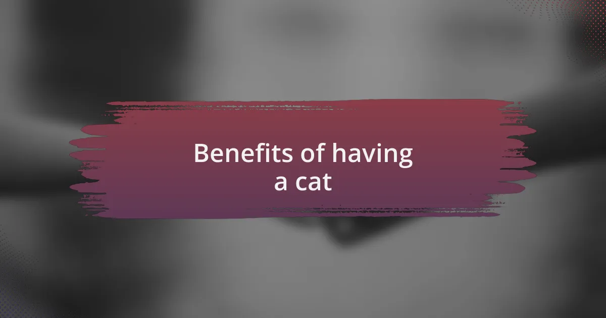 Benefits of having a cat