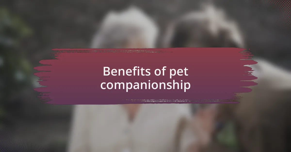 Benefits of pet companionship