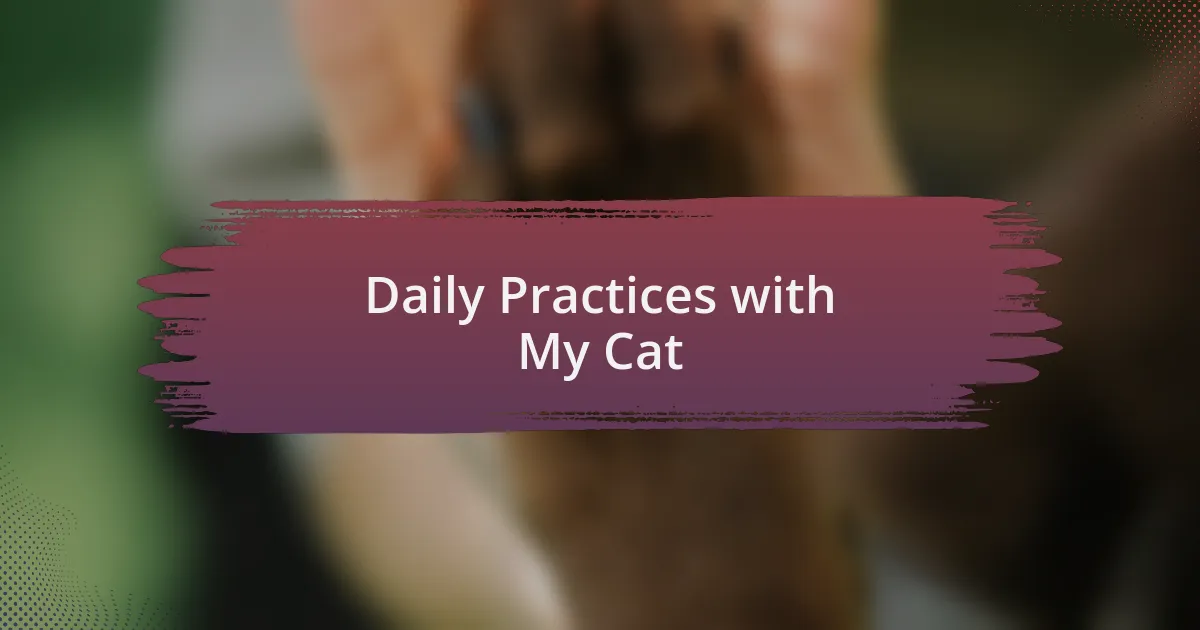 Daily Practices with My Cat