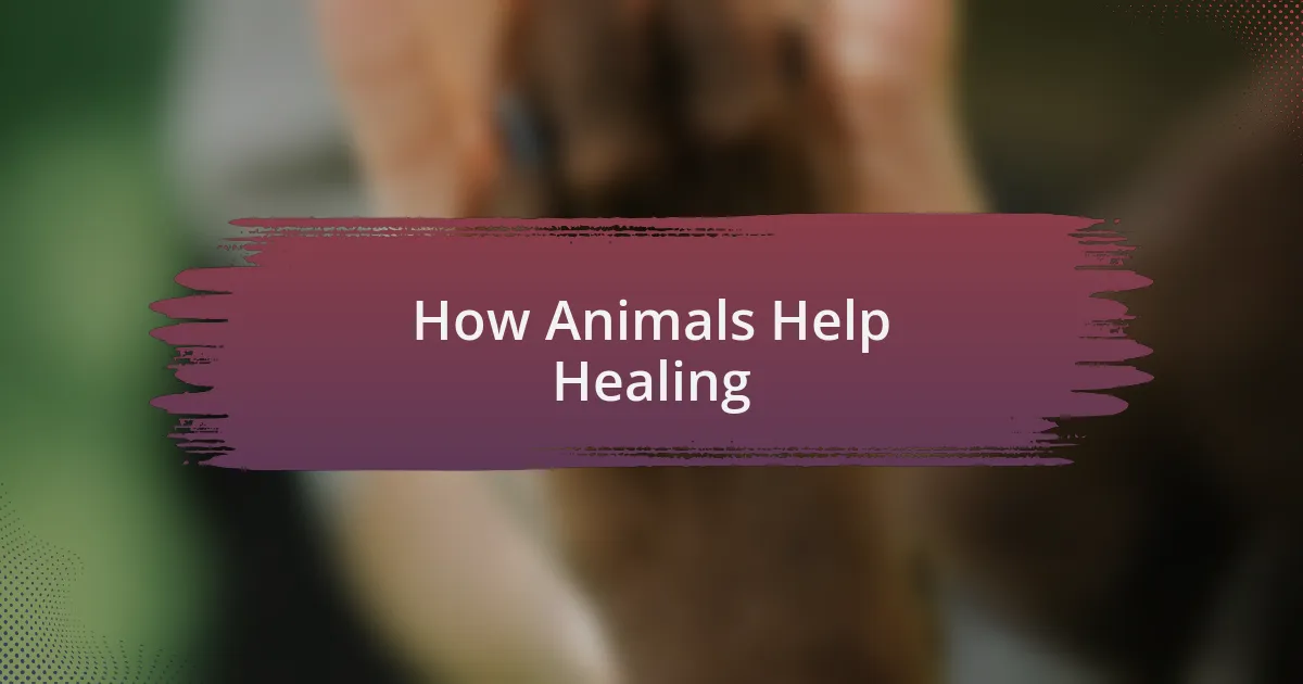 How Animals Help Healing