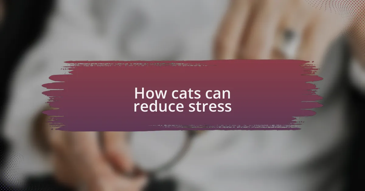 How cats can reduce stress