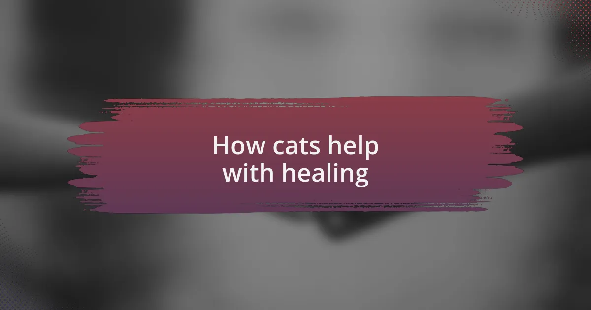 How cats help with healing