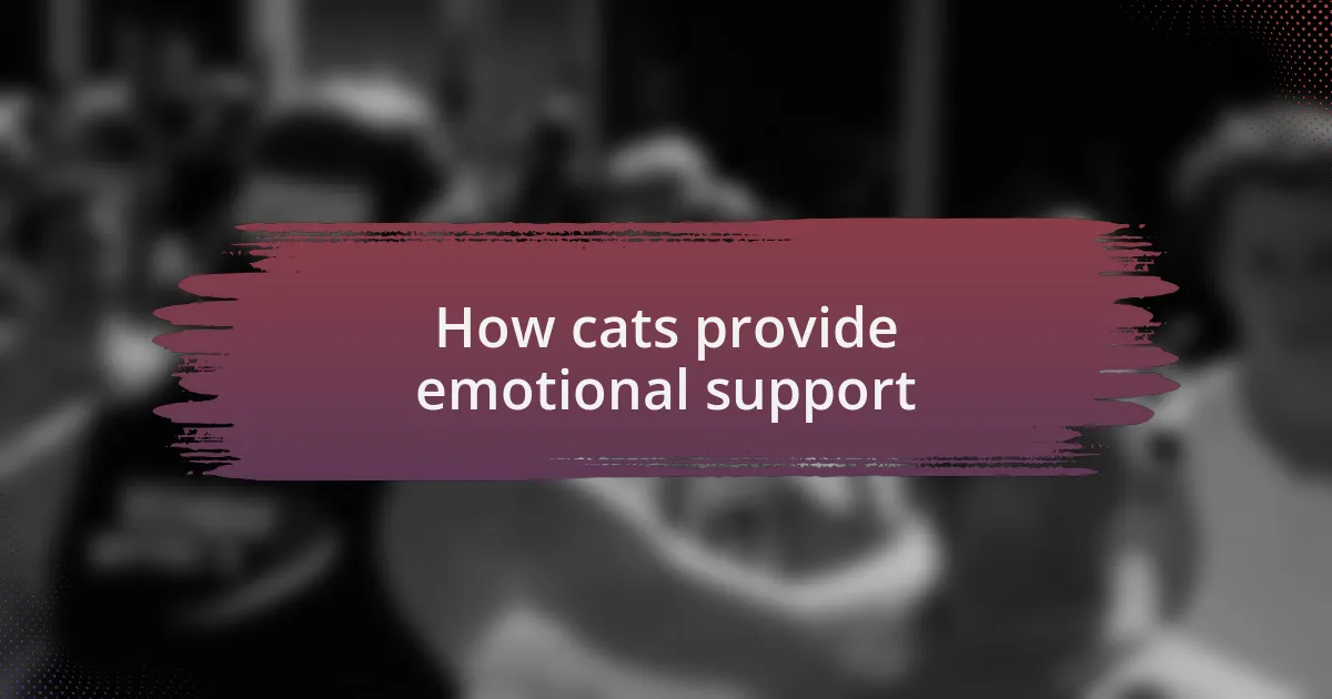 How cats provide emotional support