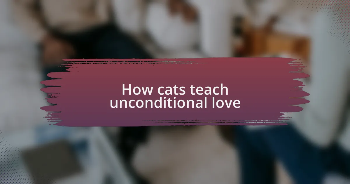 How cats teach unconditional love