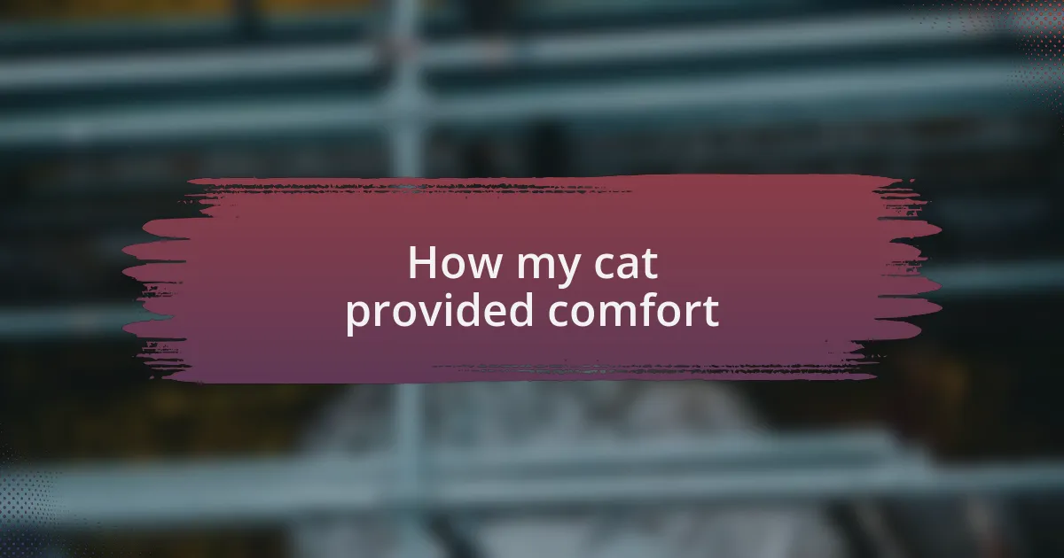 How my cat provided comfort
