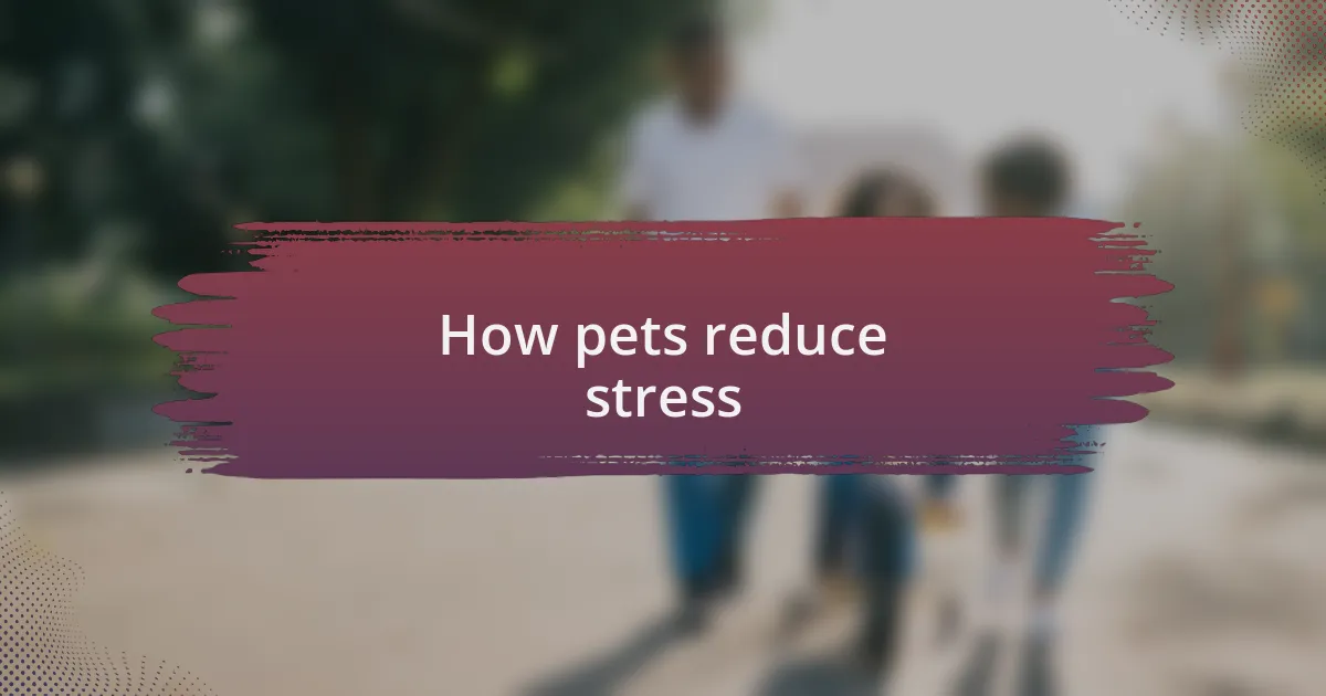 How pets reduce stress