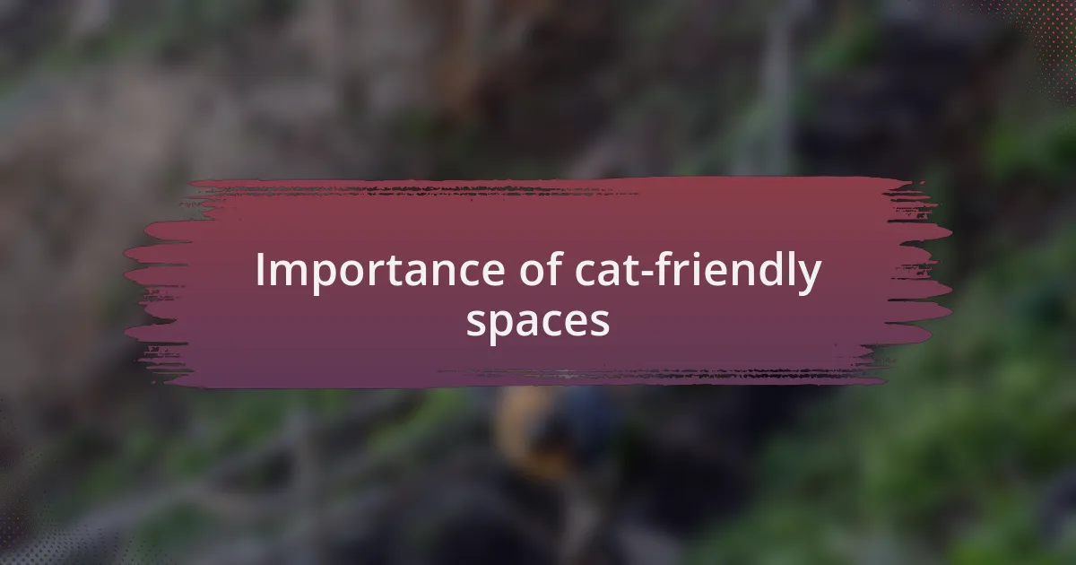 Importance of cat-friendly spaces