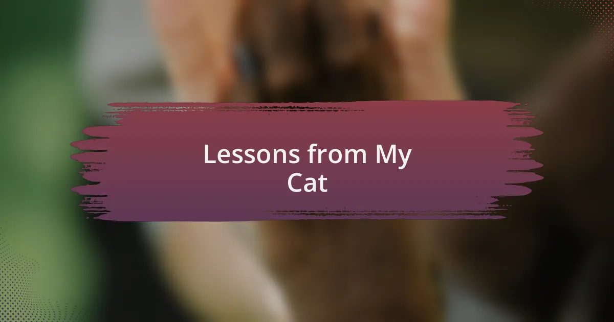 Lessons from My Cat