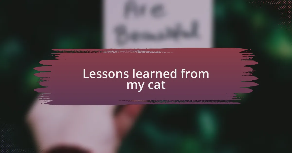Lessons learned from my cat