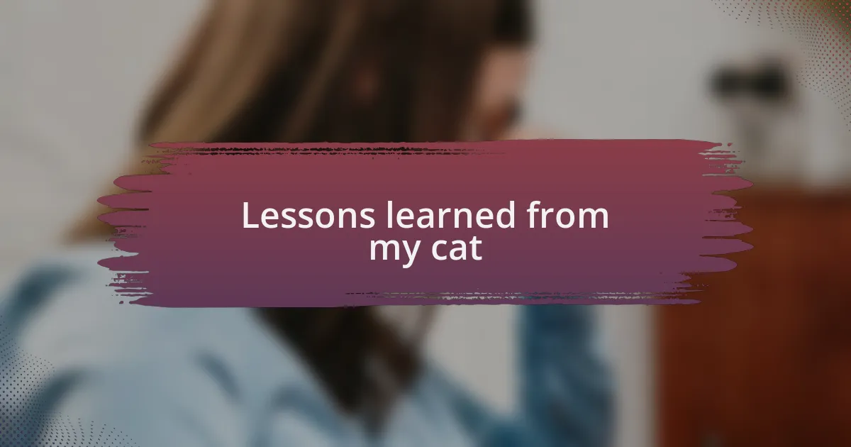Lessons learned from my cat