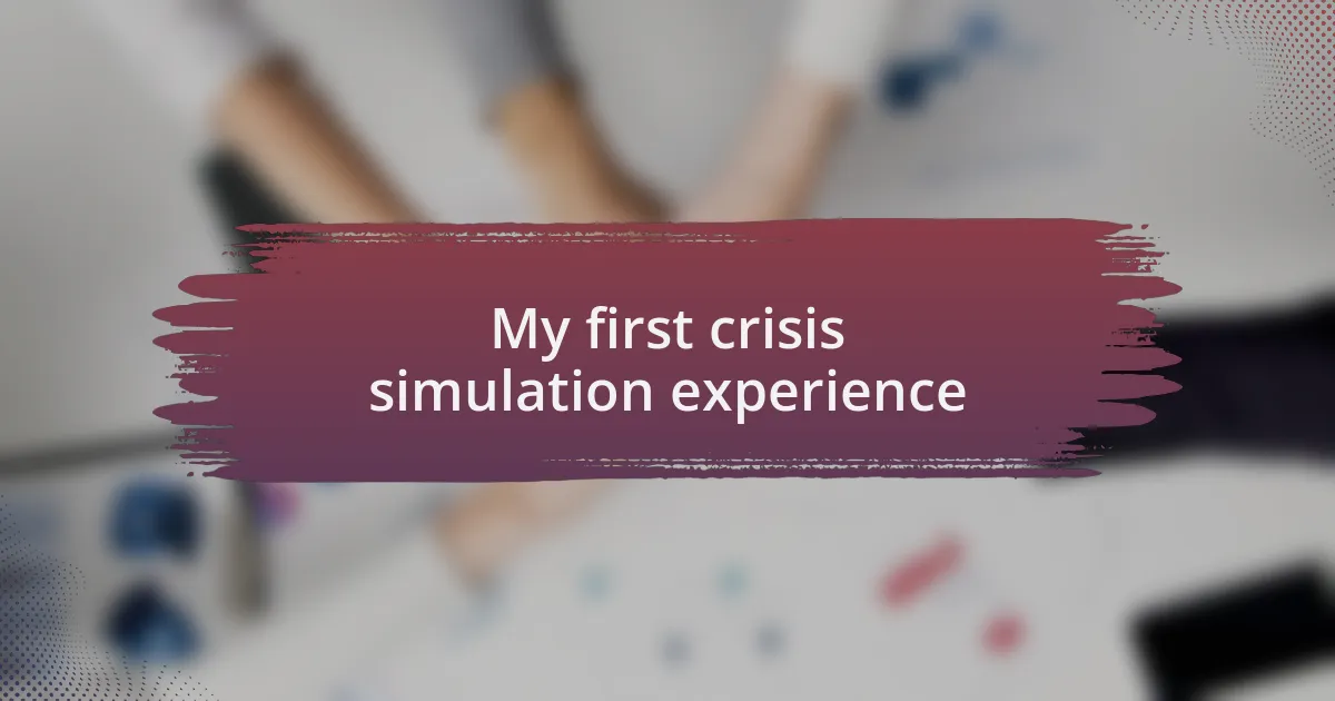 My first crisis simulation experience