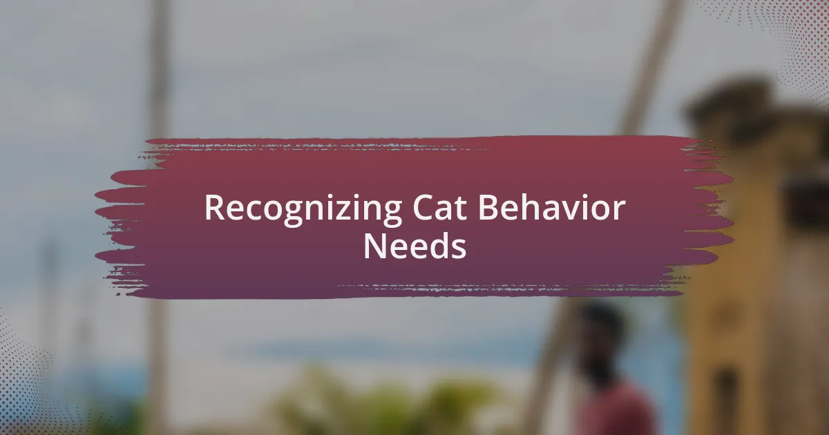 Recognizing Cat Behavior Needs
