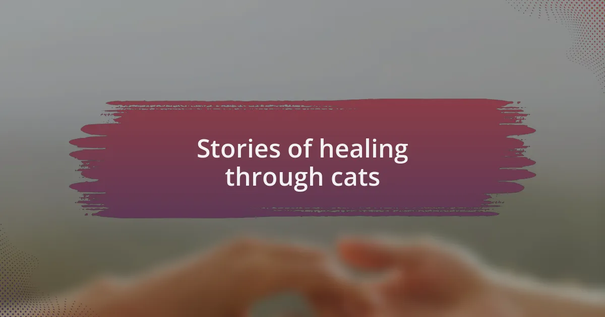 Stories of healing through cats
