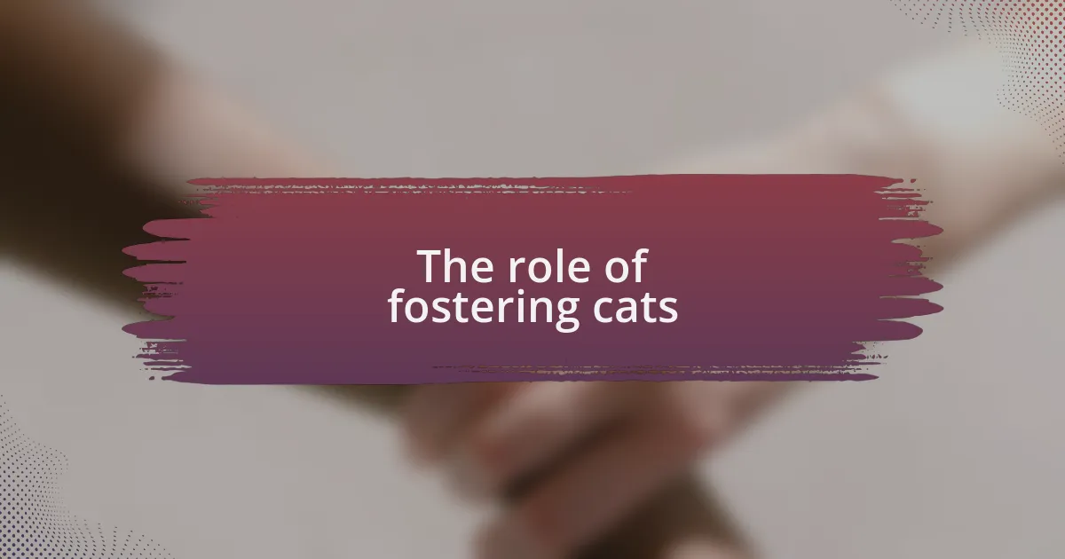 The role of fostering cats