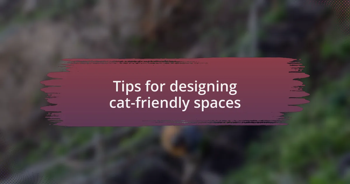 Tips for designing cat-friendly spaces