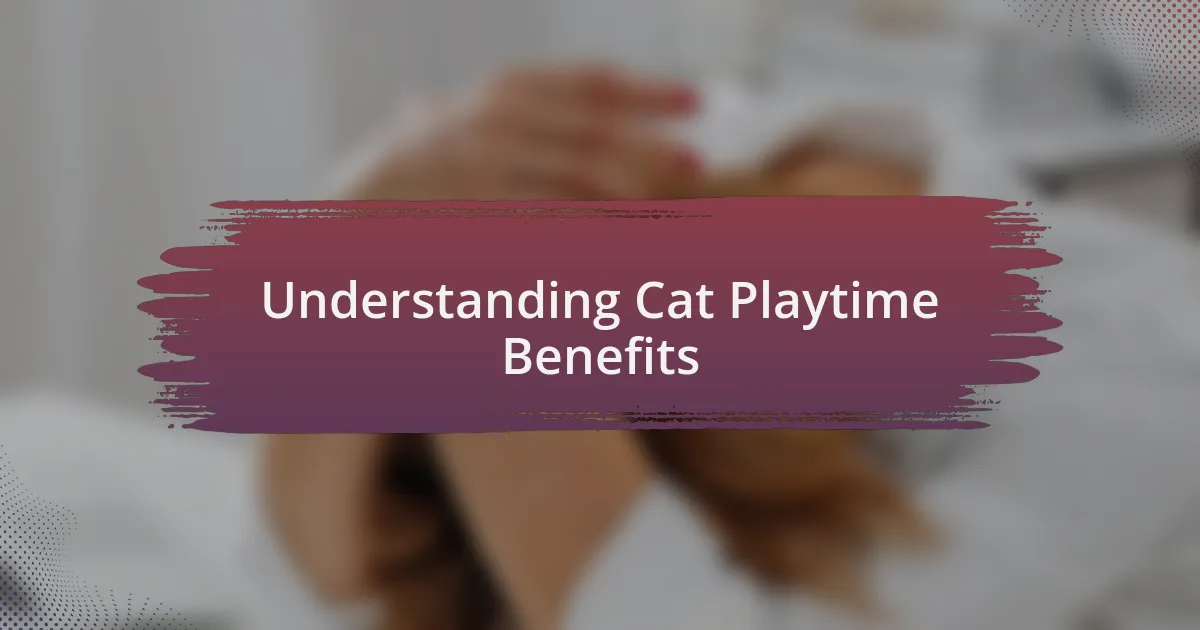 Understanding Cat Playtime Benefits