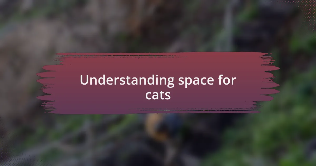 Understanding space for cats